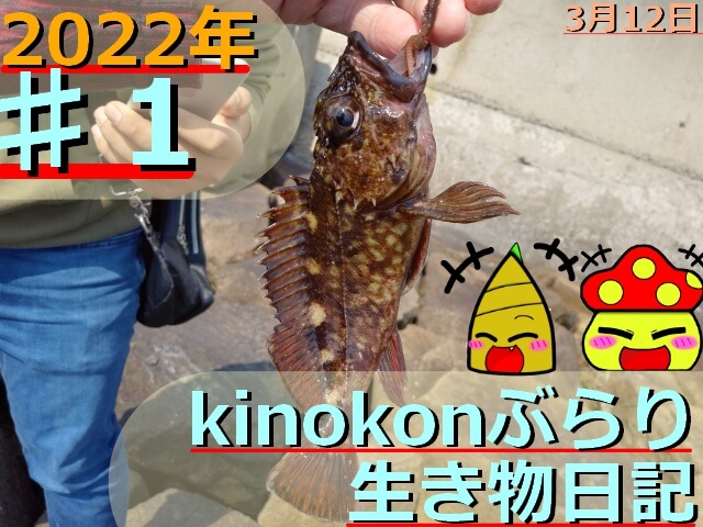 Thumbnail of post image 011